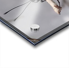 Butterfly Pullup Acrylic print