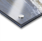 Sneaky Blue Heron Acrylic print