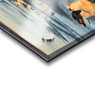 Gulls & Terns Acrylic print