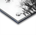 Misty Morning Acrylic print