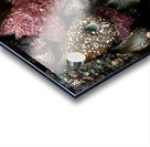 Tidal Pool 5 Acrylic print