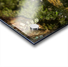 Bull Frog Acrylic print