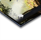 Lake Deer Acrylic print