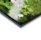 Velvet Buck Acrylic print