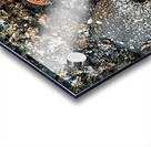 Tidal Pool 1 Acrylic print