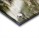 Beauty And Beast Acrylic print