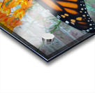 Monarch Female Acrylic print