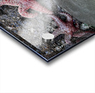 Tidal Pool 4 Acrylic print