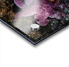 Tidal Pool 7 Acrylic print