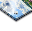 Swamp Mallow At Moraine State Park Acrylic print