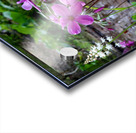 Creeping Phlox Streamside Acrylic print