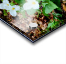 White Trillium Column Acrylic print