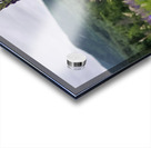 White Mountain Lupines Impression Acrylique