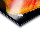 Stunning Tulip Acrylic print