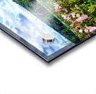 Swamp Mallow At Moraine State Park Acrylic print