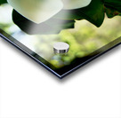 Magnolia Flower Impression Acrylique