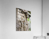 Faces Of The Smokies 4 Acrylic Print