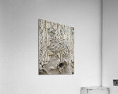 Faces Of The Smokies 3 Acrylic Print