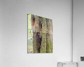 Faces Of The Smokies 2 Acrylic Print