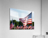 Flags Acrylic Print