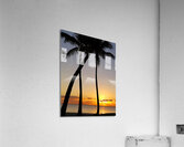 Florida Keys Sunrise & Palms 1 Acrylic Print