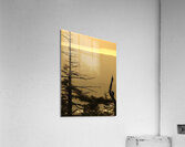 Golden Sunrise Acrylic Print