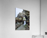 California Coast Acrylic Print