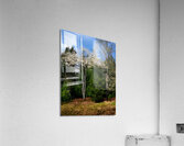 Gallitzin State Forest Acrylic Print