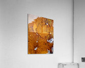 Red Maple Encased In Iron Oxide Impression acrylique