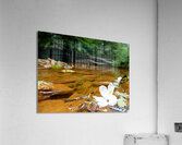 Carnahan Run Impression acrylique