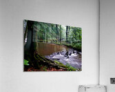Hemlock Stream Acrylic Print