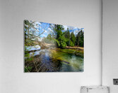 Spring At Clear Shade Creek Acrylic Print