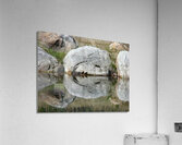 Rock Smile Acrylic Print