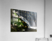 Bushkill Falls Acrylic Print