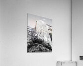 Half Dome Acrylic Print