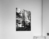 Misty Morning Rays Acrylic Print