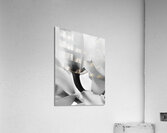 Ethereal Flower Acrylic Print