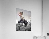 Tufa Column Acrylic Print