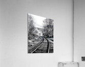 Railroad Acrylic Print