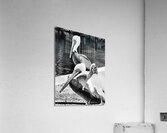 Stork Trio Acrylic Print