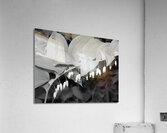 Solomon Seal Acrylic Print