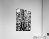 Evergreen Trident Impression acrylique