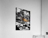 Monarch Highlight Acrylic Print