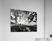 Meadow Acrylic Print