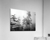 Misty Morning Acrylic Print