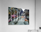 Tidal Pool 2 Acrylic Print