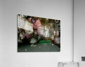 Tidal Pool 5 Acrylic Print