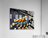 Black Swallowtail Closeup Acrylic Print