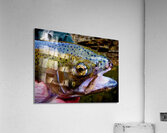 Steelhead Closeup Acrylic Print
