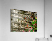 Beauty And Beast Acrylic Print